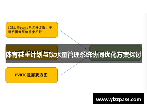 体育减重计划与饮水量管理系统协同优化方案探讨
