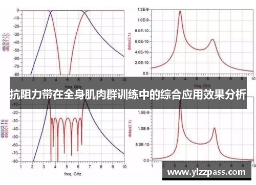 抗阻力带在全身肌肉群训练中的综合应用效果分析
